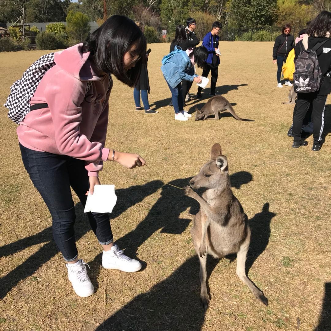 何泳欣